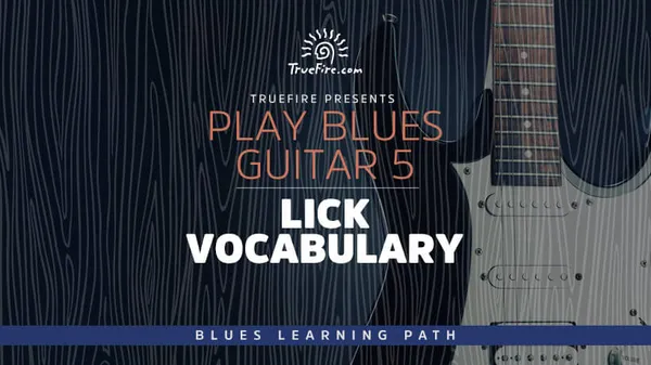 Play Blues Guitar 5: Lick Vocabulary