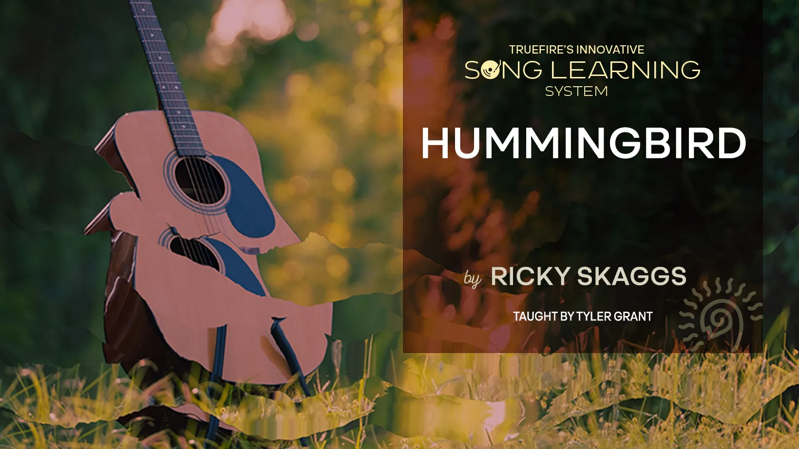 Hummingbird by Ricky Skaggs